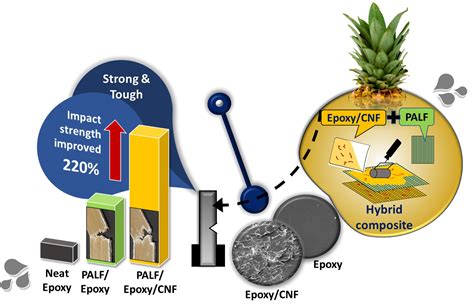  Cellulose Nanofibers: 未来の素材、持続可能な社会を実現する驚異！