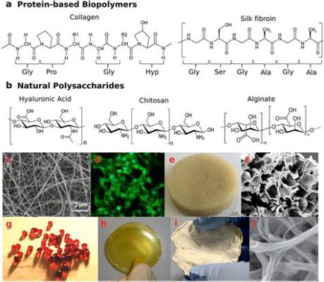  Xylose-Based Biopolymers: 強靭な構造材料としての未来への可能性！